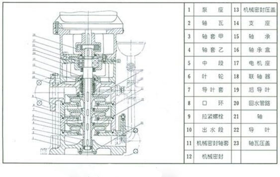 LG立式單吸多級(jí)泵結(jié)構(gòu)圖